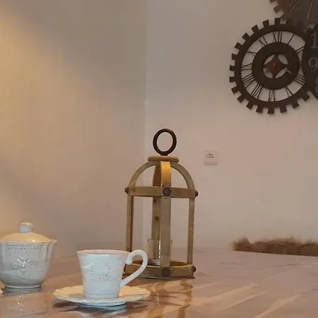 Santocha : En Plein Coeur De ! * Carcassonne